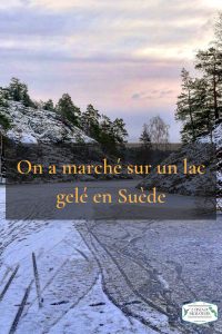 Epingle pinterest lac gelé